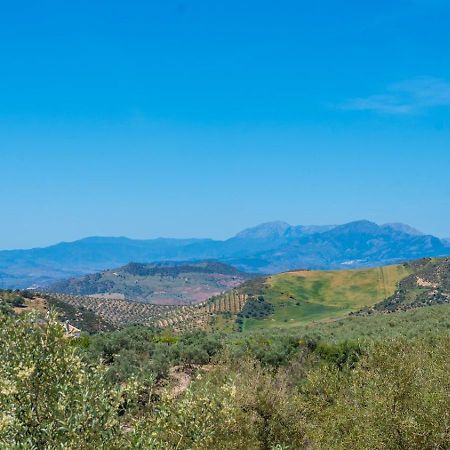 Alma Del Tejar Antequera La Higuera By Ruralidays Villa Buitenkant foto